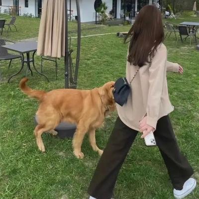 默示录